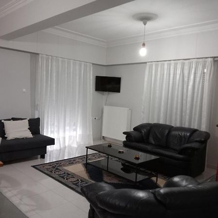 Spacious Apartment Anatoli Ioannina Exterior photo