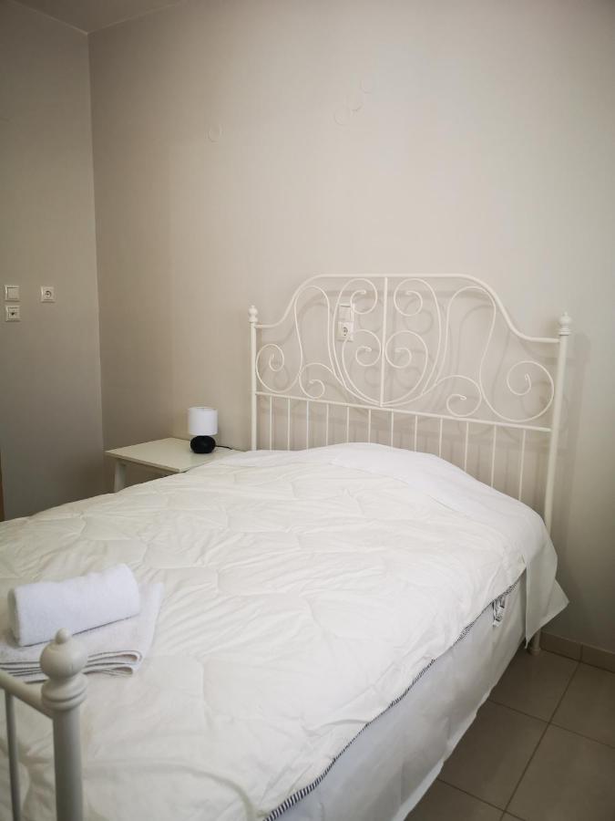 Spacious Apartment Anatoli Ioannina Exterior photo